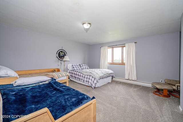 bedroom with carpet and a baseboard radiator