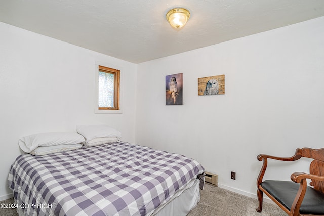 bedroom featuring a baseboard radiator and light colored carpet