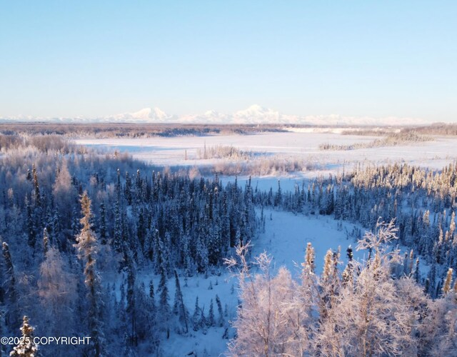 49365 S Noahs Cir, Willow, AK 99688 - photo 1