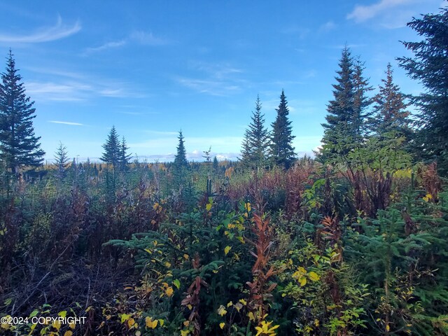 70975 Mark Ln, Anchor Point, AK 99556 - photo 23