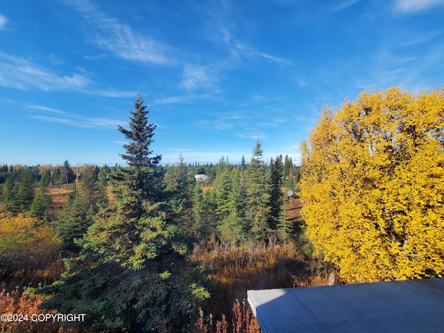 70975 Mark Ln, Anchor Point, AK 99556 - photo 24