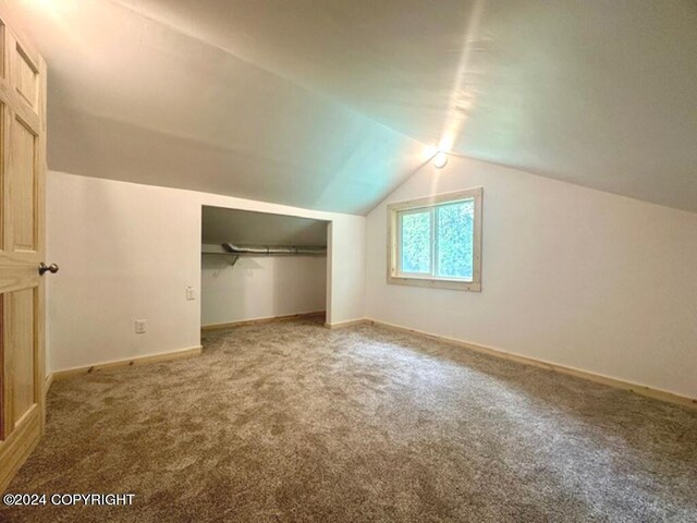 bonus room featuring lofted ceiling and carpet flooring