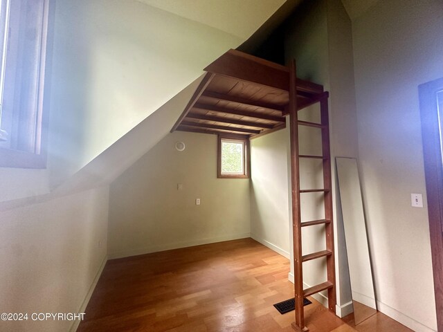 additional living space featuring wood-type flooring