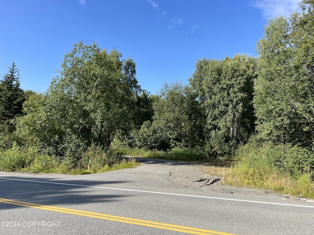 16613 N Woodward Cir, Willow, AK 99688