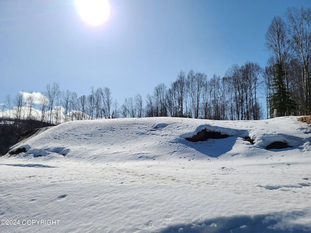 16613 N Woodward Cir, Willow, AK 99688