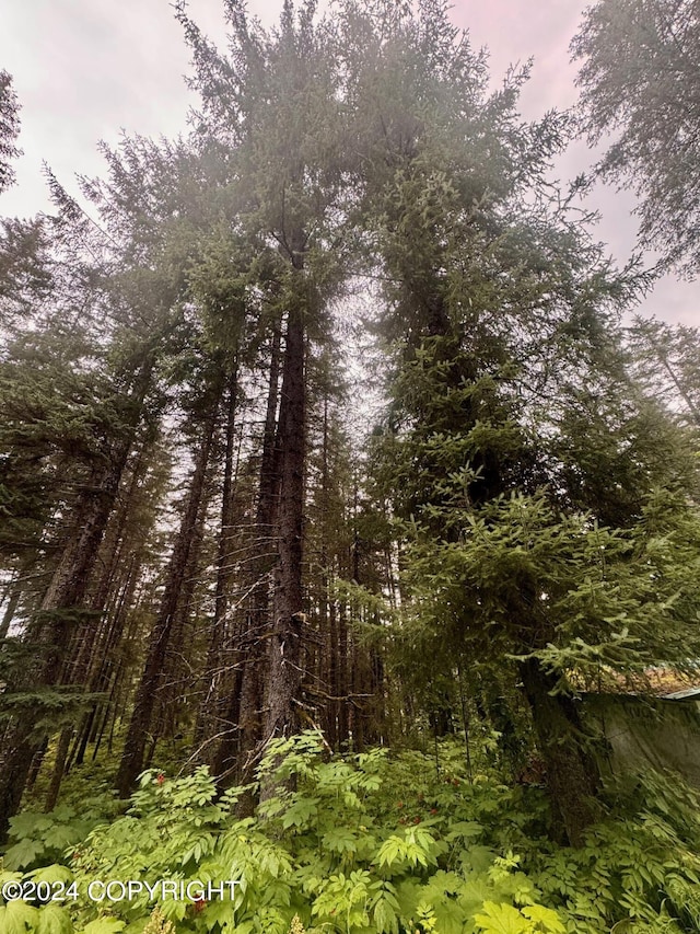 32693 Wizard Ave, Seward, AK 99664