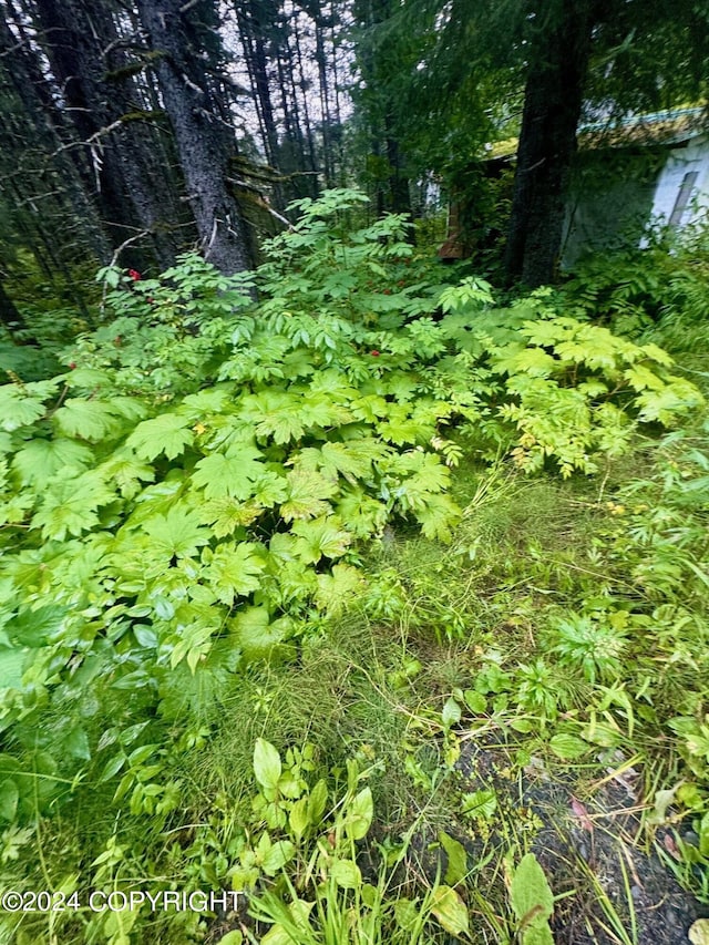 32693 Wizard Ave, Seward, AK 99664