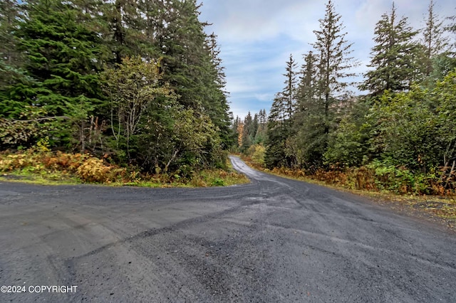 32693 Wizard Ave, Seward, AK 99664