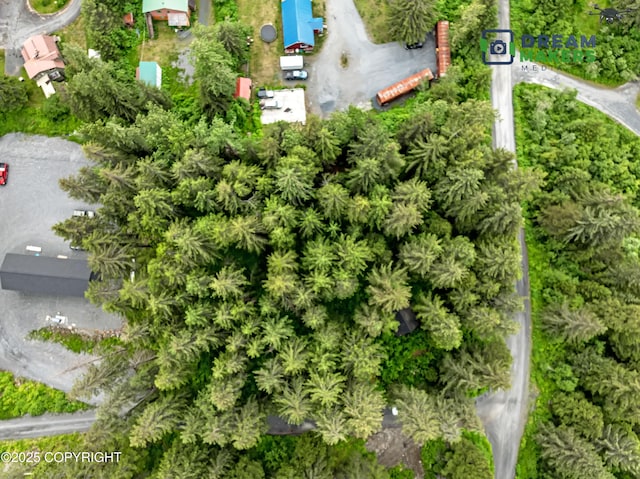 32693 Wizard Ave, Seward, AK 99664 - photo 6