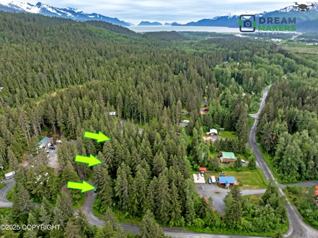 32693 Wizard Ave, Seward, AK 99664 - photo 1