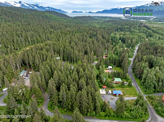 32693 Wizard Ave, Seward, AK 99664 - photo 2