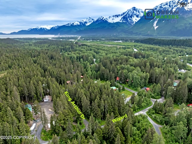 32693 Wizard Ave, Seward, AK 99664 - photo 3