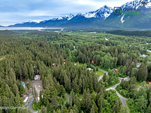 32693 Wizard Ave, Seward, AK 99664 - photo 4