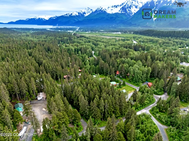 32693 Wizard Ave, Seward, AK 99664 - photo 7
