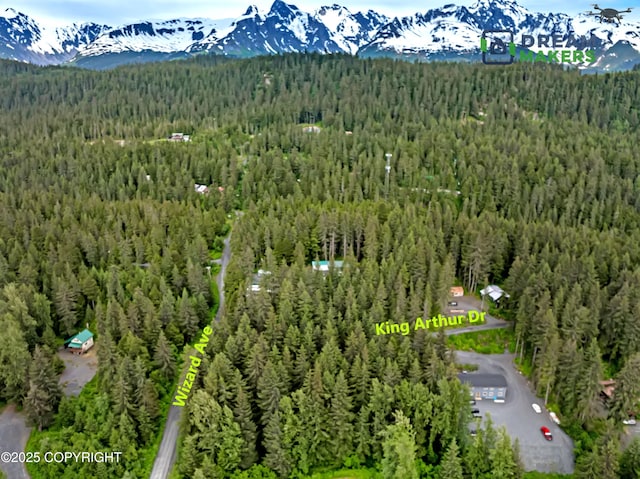 32693 Wizard Ave, Seward, AK 99664 - photo 8