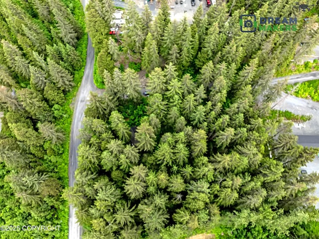 32693 Wizard Ave, Seward, AK 99664 - photo 16