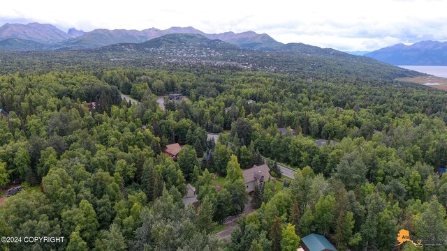 bird's eye view featuring a mountain view