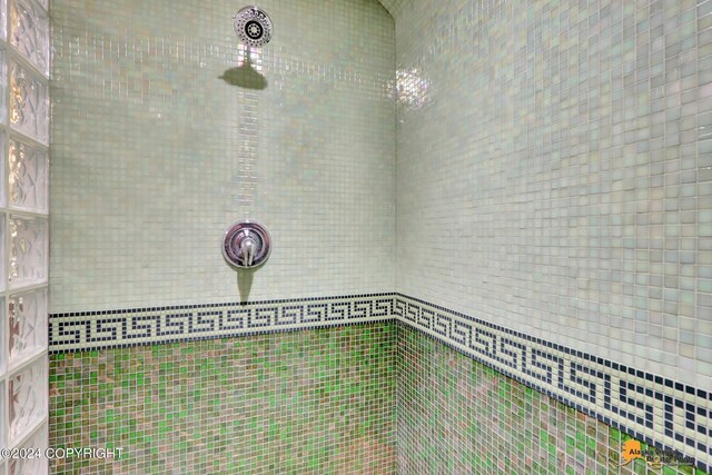 details with tiled shower