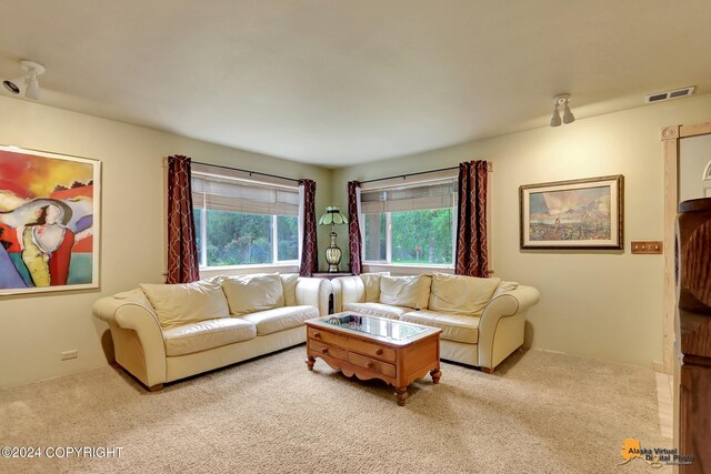 view of carpeted living room