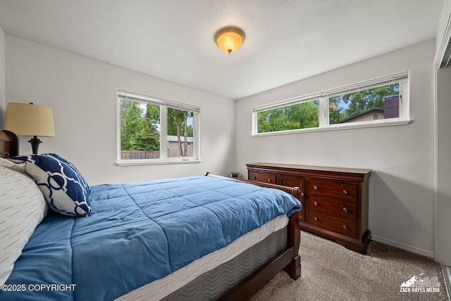 12230 Rainbow Ave, Anchorage, AK 99516 - bedroom with carpet floors and baseboards