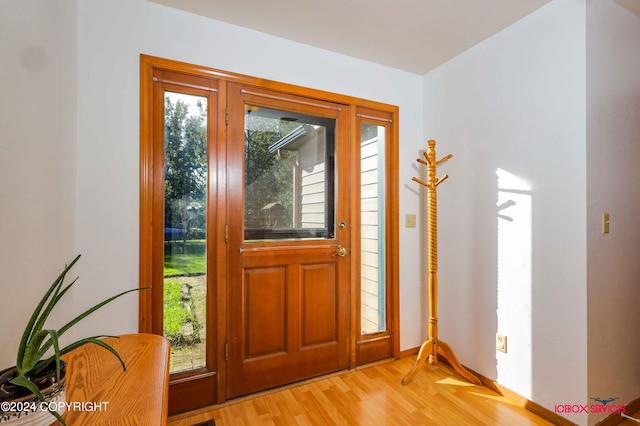 foyer featuring a wealth of natural light and light hardwood / wood-style floors