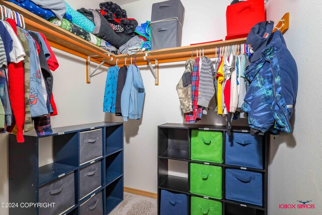 spacious closet with carpet