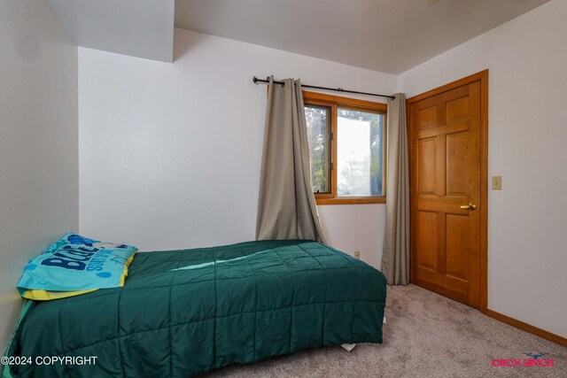 bedroom with light carpet