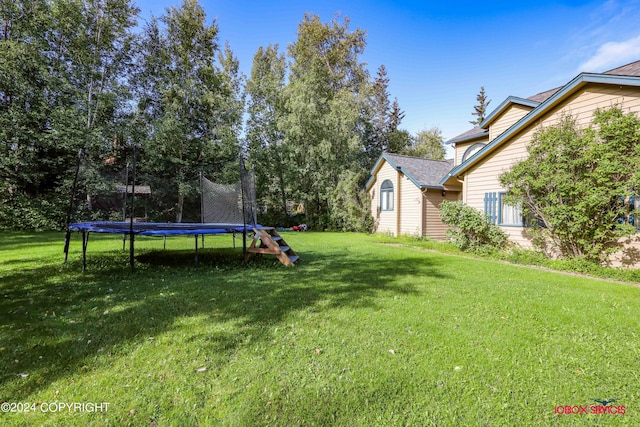 view of yard with a trampoline