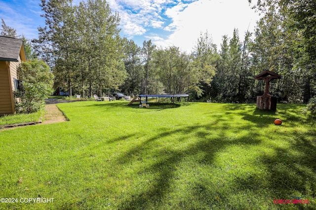 view of yard featuring a trampoline