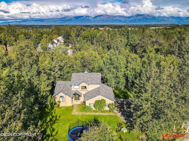 bird's eye view featuring a forest view and a mountain view