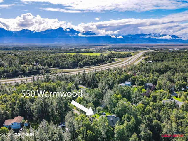 birds eye view of property with a mountain view