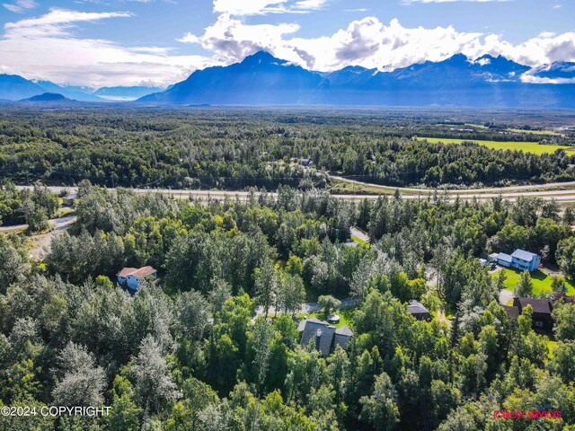 birds eye view of property featuring a mountain view