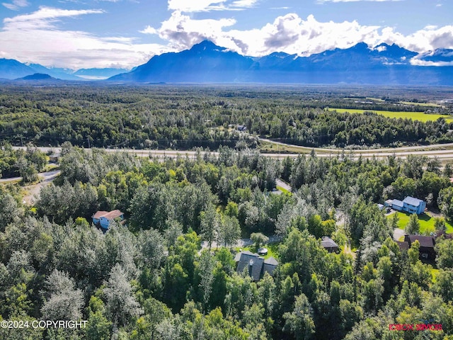 bird's eye view with a mountain view and a view of trees