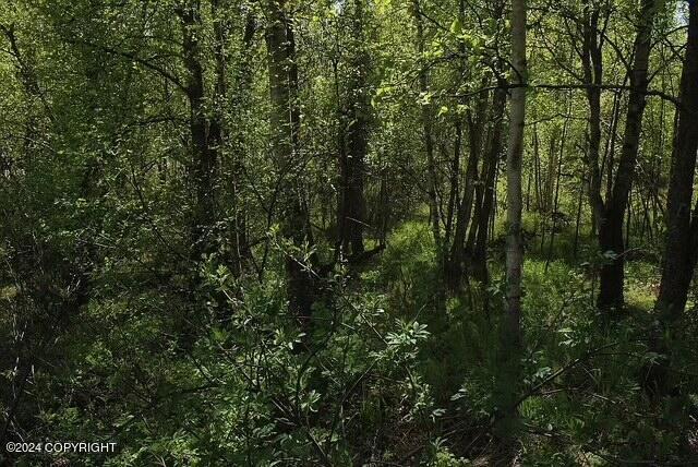 L1B1 Horizon Dr, Wasilla, AK 99654 - photo 1