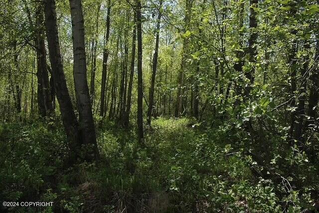 L1B1 Horizon Dr, Wasilla, AK 99654 - photo 2