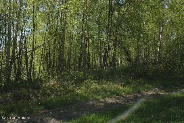 Listing photo 3 for L1B1 Horizon Dr, Wasilla AK 99654