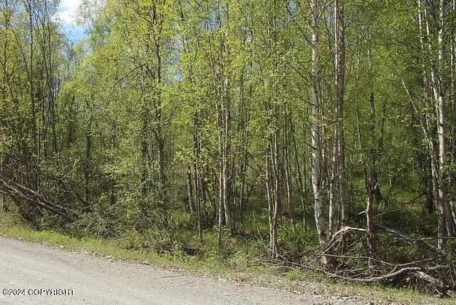 L1B1 Horizon Dr, Wasilla, AK 99654 - photo 4