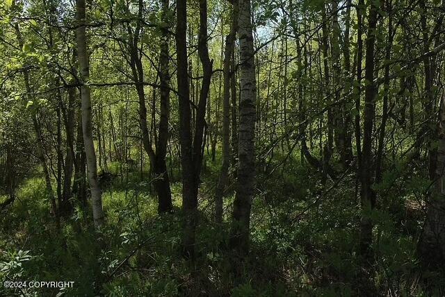 L1B1 Horizon Dr, Wasilla, AK 99654 - photo 5