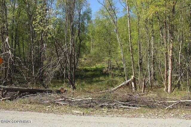 L1B1 Horizon Dr, Wasilla, AK 99654 - photo 7