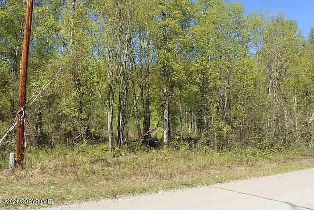L1B1 Horizon Dr, Wasilla, AK 99654 - photo 8