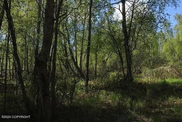 L1B1 Horizon Dr, Wasilla, AK 99654 - photo 9