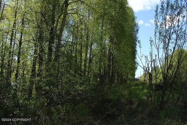 L1B1 Horizon Dr, Wasilla, AK 99654 - photo 10