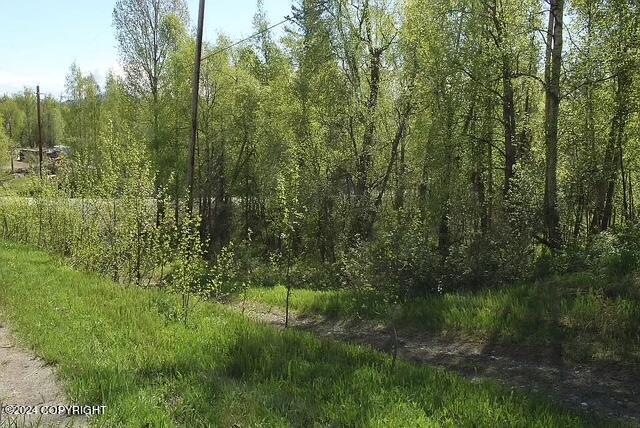 L1B1 Horizon Dr, Wasilla, AK 99654 - photo 11