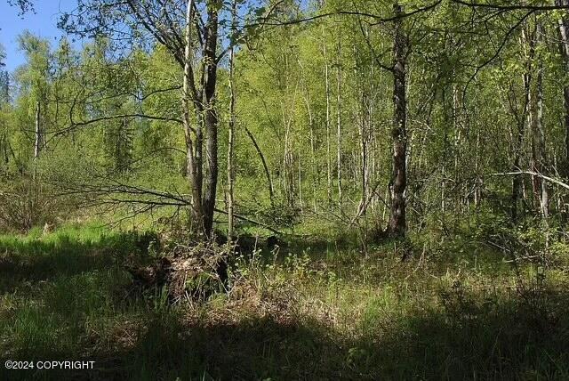L1B1 Horizon Dr, Wasilla, AK 99654 - photo 12