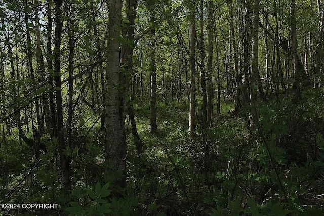 L1B1 Horizon Dr, Wasilla, AK 99654 - photo 13