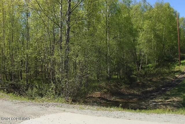 L1B1 Horizon Dr, Wasilla, AK 99654 - photo 14