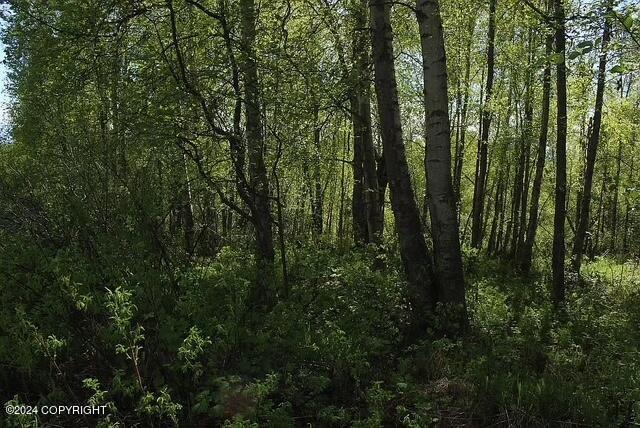 L1B1 Horizon Dr, Wasilla, AK 99654 - photo 16