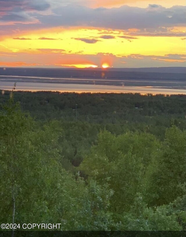 aerial view at dusk with a water view