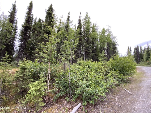 33555 New Don St, Soldotna, AK 99669