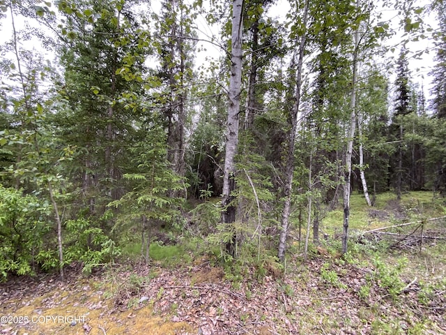 33555 New Don St, Soldotna, AK 99669